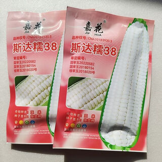 Большая площадь посева черного и белого желтого цвета, сладкая плюс восковая суперсладкая кукуруза, высокая урожайность и ранний срок созревания, оптовая продажа star nuo 38 one jin jin, равна 0,5 кг.