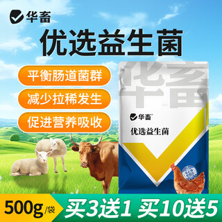 Huaxiu veterinary live bacteria plus enzyme probiotics appetizer fattening conditioning intestinal ammonia removal poultry feed additive for pigs 1 bag of preferred highly active bacteria probiotics 500g