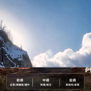 Yusenyi christmas gift lorio car fragrance pendant air vent sachet ornament car fragrance decoration perfume (luxury tea fragrance) royal black tea 1g