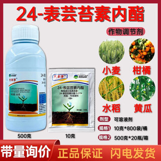 Dafengshou 24-epibrassinolide fruit tree and vegetable antidote for flower and fruit growth and growth regulator 10g*1 bag
