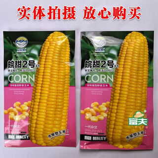 Суперсладкие молочные фрукты, семена кукурузы, красочные сладкие клейкие семена, сладкие высокоурожайные саженцы, красочные черные восковые белые липкие клейкие весенние четыре сезона, Аньхой № 2, пакетик кукурузы по 100 г (большая палочка, сырая, супер сладкая)