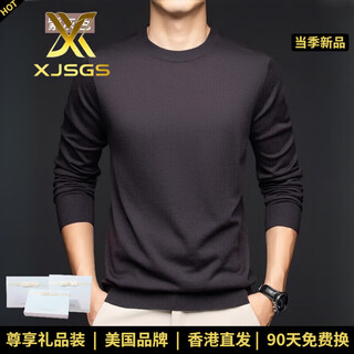Xjsgs international men's high-end brand pure wool sweater luxury round neck knitted sweater men's inner layering sweater autumn and winter high-end purple gray spot xl /175/92a