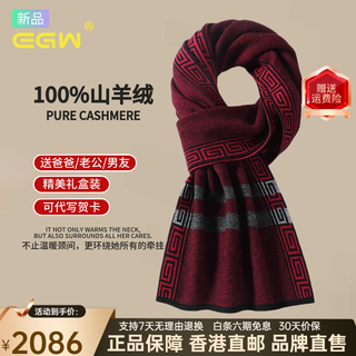 Egw international luxury brand winter high-end men's luxury fashion cashmere scarf business warm autumn and winter new style red gift box
