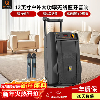 Bader square dance speaker outdoor high power volume wireless bluetooth portable mobile trolley speaker k singing and dancing pangu 12-inch dual microphone