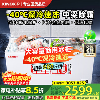 Congelador comercial de tubo de cobre de la marca star (xingx), gabinete de conservación de productos frescos de congelación rápida de gran capacidad, doble puerta, refrigerado y refrigerado, doble propósito, doble temperatura, eficiencia energética de primera clase, ahorro de energía, almacenamiento doméstico, mariscos, descongelación de viga central 1,68 metros 518 litros aproximadamente 880 jin jin equivale a 0,5 kg de carne -40 frío profundo