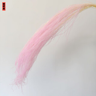 Asparagus immortal flower dream grass long hair grass immortal flower dried flower bouquet wedding bouquet home decoration flower material pink