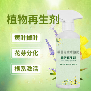 Neu verbessertes mittel zur regeneration der pflanzenvitalität, um dem wachstum, der beschädigung und dem verfall von sämlingen zu widerstehen, wasserlöslicher dünger zur verjüngung mit einem klick, qf pflanzenregenerationsmittel 300 ml * 3 flaschen