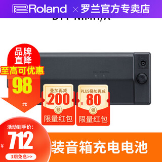 Roland speaker cube street ex second generation internet celebrity outdoor live broadcast guitar playing and singing road show portable audio roland original rechargeable battery