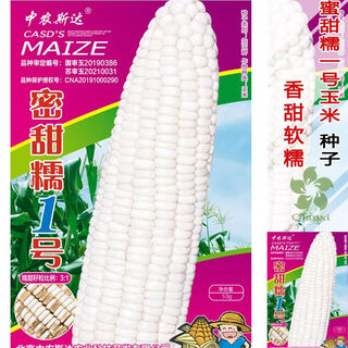 Сладкие клейкие красные семена кукурузы белого цвета желтые сладкие клейкие семена кукурузы северные и южные поля раннеспелые семена кукурузы мед сладкий клейкий рис № 1 оригинал 50г