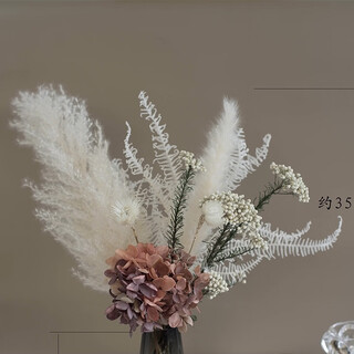 Jingjifeng high-end french dried flowers real flower ornaments living room desktop model room soft decoration ins reed vase ins style autumn hydrangea white reed single bouquet