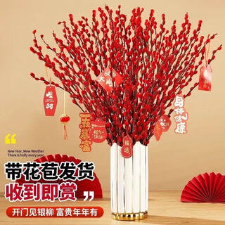 Yinliu real flowers, fresh branches, red new year's eve flowers, dry culture, hydroponics, indoor festive decoration, red, 80 cm high, 40 pieces, 10 pendants included