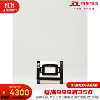 Roger vivierrv women's white wallet white 00u