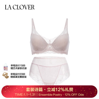 La clover24ss charming light and shadow simple glossy lace women's bra set lc2024107 pink 75b 160