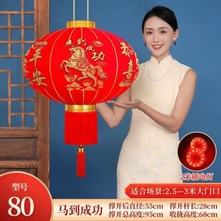 Xushansi 2026 spring festival new year of the horse red lantern new year gate lantern outdoor balcony long pole flocking lantern led red light + two meter line plug-in model no. 120 more than every year diameter 79cm pair of lanterns