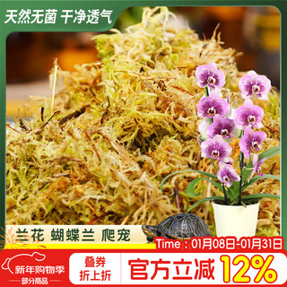 Devodo sphagnum moss about 6l (superior grade) nutritional soil climbing pet turtle hibernating butterfly orchid clivia orchid plant material moss potted plant