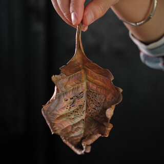 He jiagong handmade copper leaf tea leak tea filter creative ultra-fine household kung fu tea set ultra-fine funnel tea divider dead leaf tea leak