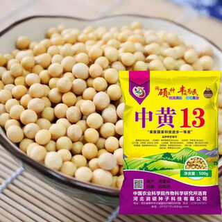 Thousand jin jin equals 0.5 kilogram. soybean seeds farmers plant in large fields with super high yield zhonghuang 13 soybeans zhonghuang 37 farmers plant in large areas zhonghuang 13 soybean seeds 5jin jin equals 0.5 kilograms