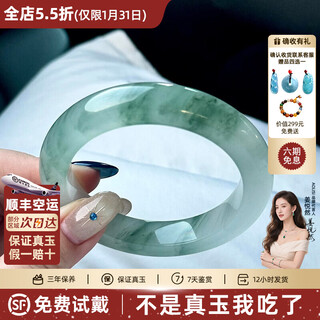 Aolisi love of the summer palace xinjiang tianshan true jade bracelet authentic women's new chinese style jewelry as a gift for mom love of the summer palace jade bracelet 50mm-51mm (jade pendant + gift box)