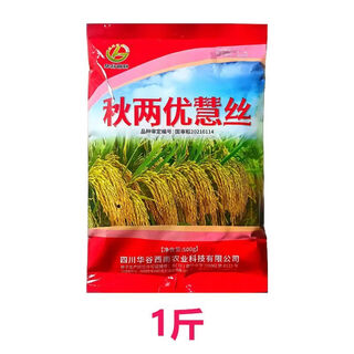 旺园兴国审正品四川高产杂交水稻种子优质长粒香米秋两优超级稻贵州谷种 正品秋两优1斤