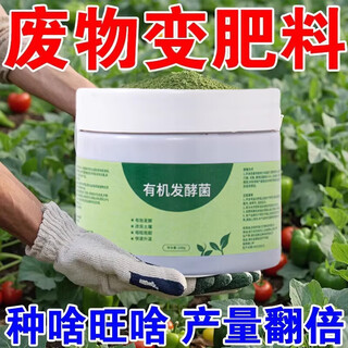 Ldvep acid supplementing and alkalinizing agent green plant soil acid supplementing gardenia soil camellia household iron fertilizer plant flower water soluble fertilizer 2 bottles 400g organic fermentation bacteria