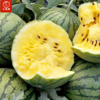Dayu yellow heart watermelon seed seedlings, early mature, yellow skin, red flesh, yellow flesh, special xiaofeng watermelon seeds, southern fruit, yellow flesh, xiaolan watermelon seeds, 10 capsules