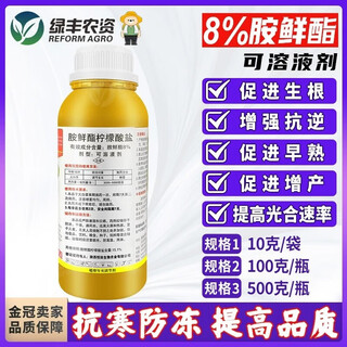 8% aminobutanol citrate soluble agent for fruit and vegetable rooting to increase yield, anti-freeze preservation of flowers and fruits, plant growth regulator 500g 10g*50 bags