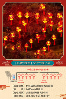 Xushansi 2026 new solar outdoor garden red lantern waterproof sun protection antique style chinese palace lantern chinese style chandelier crystal tassel lantern lantern string-50 lights 5 meters family portrait-2 pack