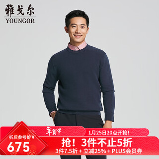 Youngor sweater men's autumn and winter young men's sweater machine washable all wool sweater store same style blue yyqw615206hya l 105cm