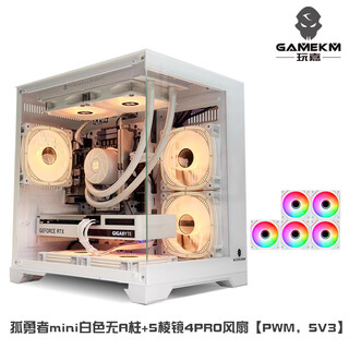 玩嘉孤勇者mini无A柱电脑机箱台式机240水冷主机箱海景房MATX主板机箱33cm长显卡风冷侧透机箱 孤勇者mini白色无立柱+5棱镜4PRO风扇