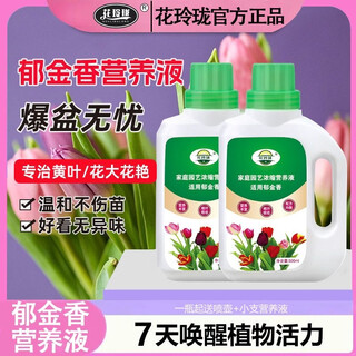 Shui mu feng tulip nutrient solution bulb burst tulip fertilizer special fertilizer flower fertilizer hydroponic plant hyacinth nutrient solution necessary nutrient solution for tulips (efficient formula upgrade) store manager discount tulip 3x barrel nutrient solution + distribution watering can