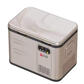 Car refrigerator truck vertical car home dual-purpose compressor refrigeration double door dual temperature single control refrigeration refrigeration b49 single control 12-24-220v universal + double door double warehouse