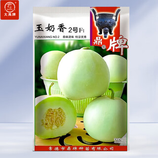Dayu jade milky melon seeds ding brand melon seeds super sweet thin skin milky melon ding brand jade milky melon no. 2 melon seeds 400 capsules