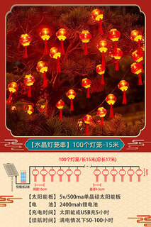 Xushansi 2026 new solar outdoor garden red lantern waterproof sun protection antique style chinese palace lantern chinese style chandelier crystal tassel lantern lantern string-100 lights 15 meters family portrait-2 pack