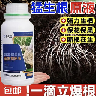 Nonselect meng root stock solution, powerful rooting and seedling strengthening agent, rooting powder liquid for transplanting cuttings, fruit trees and flowers, general promoting root growth. meng root stock liquid 500g, 1 bottle