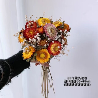 Yunnan small daisies dried flower bouquet living room decorations sunflower dried flowers real flower decorative ornaments ins air-dried 20 small daisies to send baby's breath