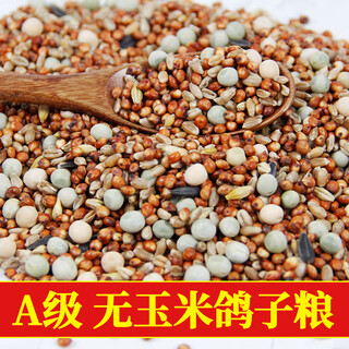 Pigeon food 20 jin jin equals 0.5 kg corn-free pigeon food 10 kg nutritional pea bird food homing pigeons for adult and young pigeons 5 jin jin equals 0.5 kg a-grade corn-free premium pigeon food 10 jin jin equals 0.5 kg