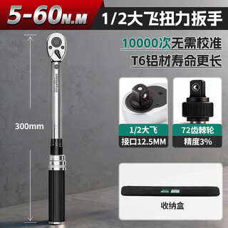 Greener torque wrench 1/2 inch 5-60nm dafei adjustable torque wrench set for home road bicycles