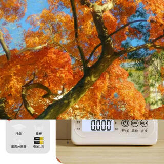 Yusenyi kitchen scale baking electronic scale household small high-precision food scale gram weighing food scale high-precision weighing gram weight scale high-precision white battery model 5kg0.1g