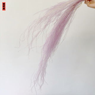 Asparagus immortal flower dream grass long hair grass immortal flower dried flower bouquet wedding bouquet home decoration flower material purple