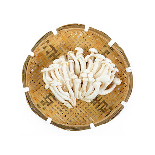 White jade mushroom 150g