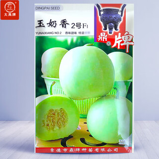 Dayu white-skinned melon seeds collection cantaloupe seedlings seedlings seedlings baishami north and south fruit balcony planting winter and spring ding brand yu naixiang no. 2 melon seeds 400 capsules/bag