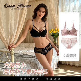 Dana farrow brand new sexy underwear for women with big breasts, small and thin, push-up anti-sagging, secondary breast push-up, large size bra set, pink - set 70a, one size fits all