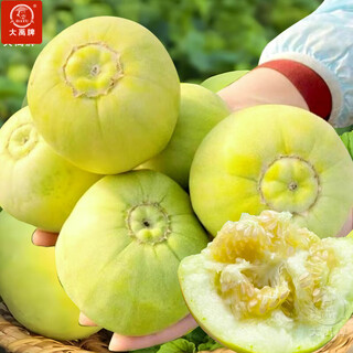 Dayu japanese sweet melon seed seedlings seedlings melon seeds white skin honey sweet authentic old variety japanese sweet seed 100 capsules 2 bags