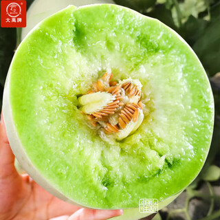 Dayu xinjiang hami melon seed seedlings mesh melon early maturing jade mushroom ice cream cantaloupe seeds southern jade mushroom melon seeds 30 capsules 5 bags thick and juicy flesh