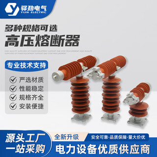 High voltage fuse high voltage current limiting fast fuse ceramic high breaking transformer fuse ceramic high temperature resistant high voltage fuse