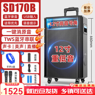 Philips bluetooth speaker outdoor square dance high volume high power trolley portable speaker sd170 series series can be connected dual 12-inch + three-sided sound + anti-howling microphone*2