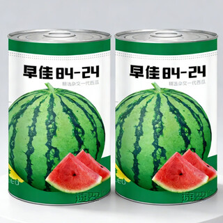 Nongzhi zaojia 8424 kirin watermelon seeds are suitable for early maturing in the south. zaojia 8424 watermelon seeds 50gx2 barrels