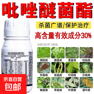 Pyraclostrobin 30% fungicide powdery mildew anthracnose apple tree brown spot vegetable genuine pesticide wholesale 5 bottles 5*100g