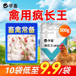 Huazhu veterinary fattening king, growth-promoting fattening feed additive for chickens, ducks, geese, cattle and sheep, poultry fattening pig 1 bag, poultry-specific crazy growth king 500g/bag