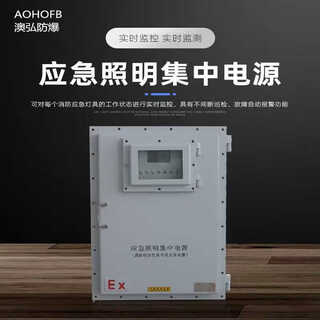 Explosion-proof emergency lighting centralized power supply type a type b distribution box control cabinet non-standard custom explosion-proof centralized lighting box emergency lighting centralized power supply type a